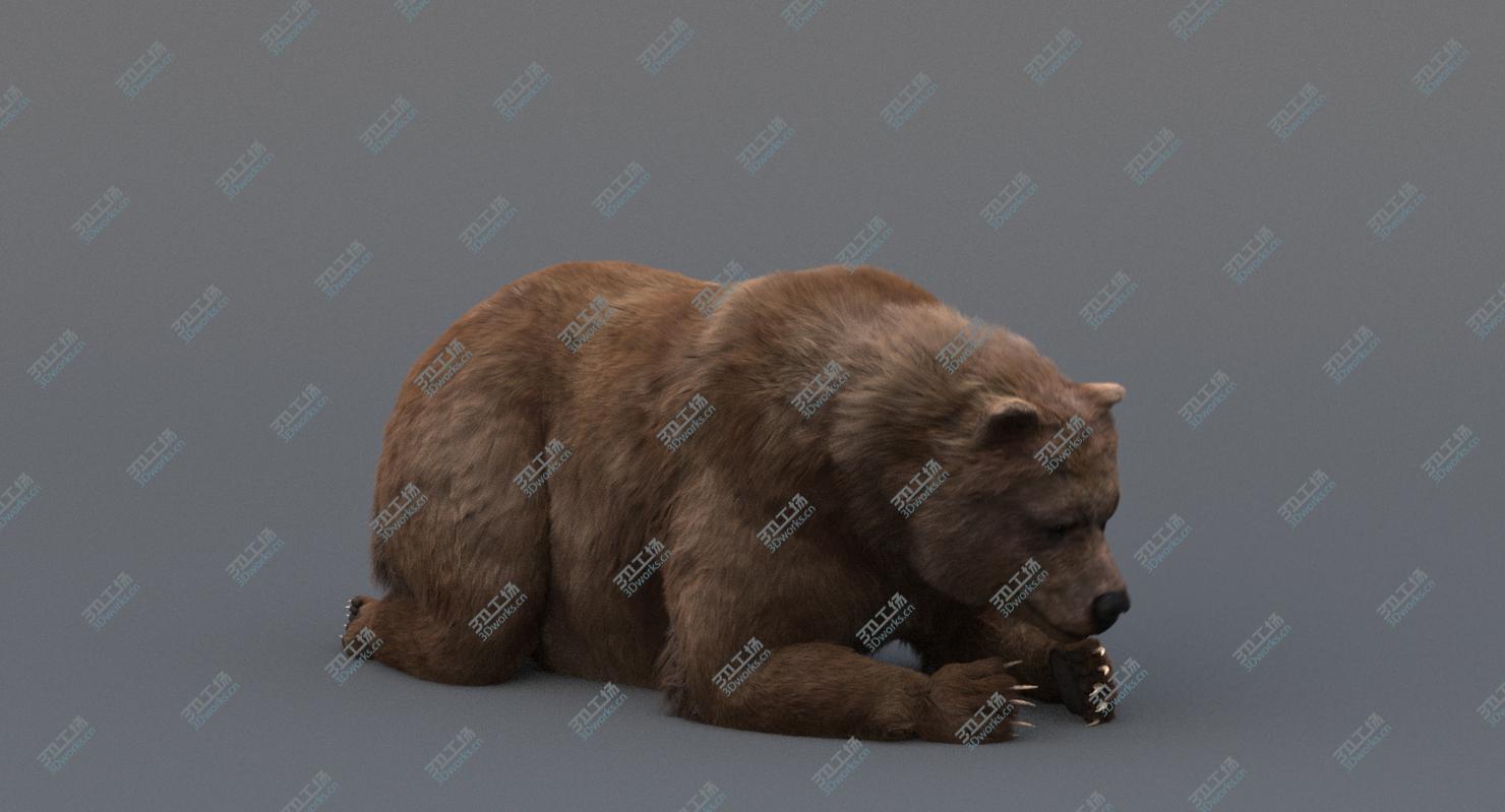 images/goods_img/202104091/3D model Bear Animated/5.jpg